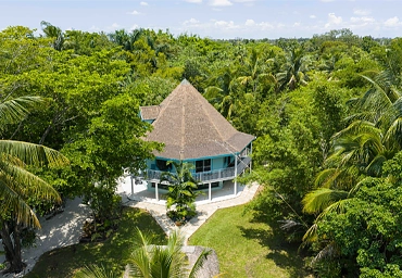 Aerial View: Octagon Oasis